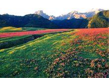 巴音溝烏拉斯颱風景區