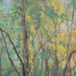 陸靜波[美術家]