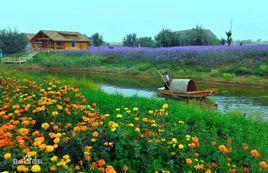 金沙島[寧夏景點]