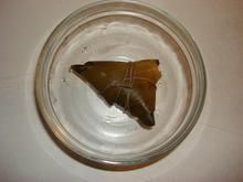 三角粽子 三角粽子