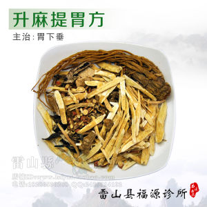 升麻提胃方 升麻提胃方