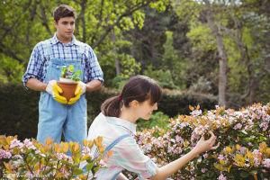 花卉養護 花卉養護