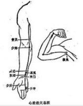 手少陰心經 手少陰心經