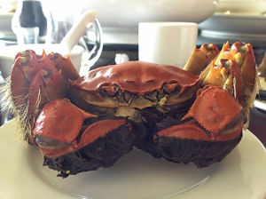 洪澤湖大閘蟹 洪澤湖大閘蟹