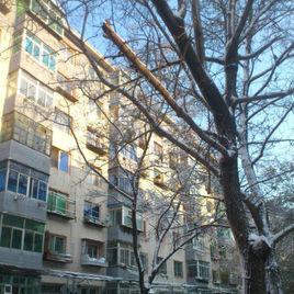 泉園小區 泉園小區