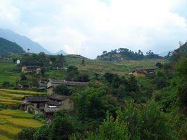 圓寶山村 圓寶山村