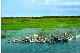 青華海濕地公園 青華海濕地公園