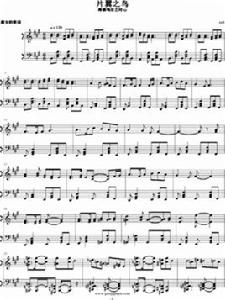 片翼之鳥 片翼之鳥