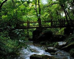 坪壩營原始生態旅遊區 坪壩營原始生態旅遊區