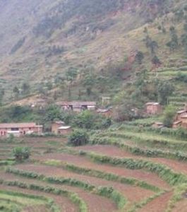 秧田凹村 秧田凹村