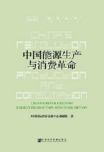 中國能源生產與消費革命