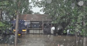 南大支坡 南大支坡