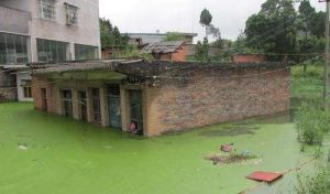 小北河鎮 小北河鎮