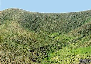 西鄂爾多斯自然保護區