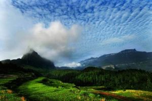 茂蘭喀斯特森林