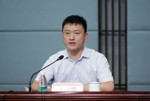 謝永華[南京工業職業技術學院院長]