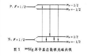 光磁共振 光磁共振