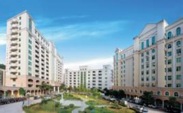 高州市中醫院 高州市中醫院