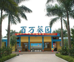 番禺百萬葵園 番禺百萬葵園