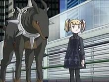 愛麗絲&middot;麥考伊