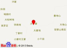 大平掌村[雲南省楚雄州楚雄市西舍路鄉大平掌村]