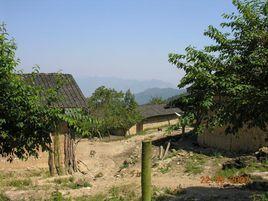 黃場自然村 黃場自然村