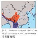 淡黃腰柳鶯分布範圍