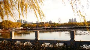 山西迎澤公園 山西迎澤公園