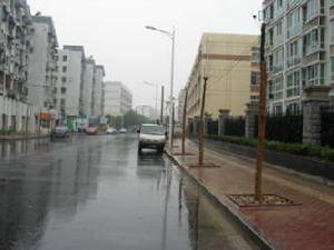 鳳凰港商貿城 鳳凰港商貿城