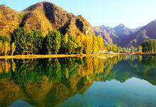 保定市[河北省地級市]