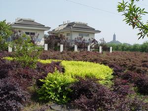 紹興托普信息職業技術學院