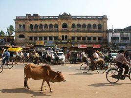 珠峰南岸 珠峰南岸