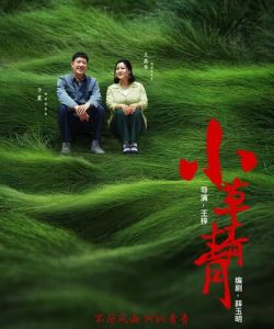 小草青青 小草青青