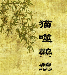 貓噬鸚鵡 貓噬鸚鵡