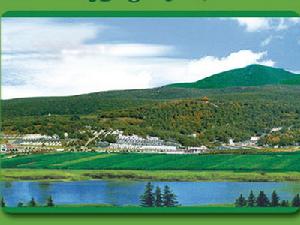 臥龍崗陵園 臥龍崗陵園