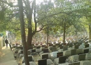 扁擔山公墓 扁擔山公墓