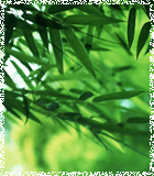 江西飛宇竹業集團有限公司