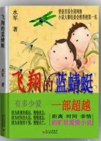 飛翔的藍蜻蜓 飛翔的藍蜻蜓