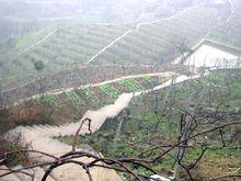 重慶市萬州區響水鎮