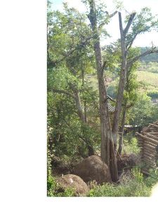 文地場自然村 文地場自然村