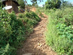 大份田自然村 大份田自然村