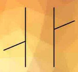 恆常性誤用論 恆常性誤用論