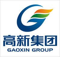 合肥高新股份有限公司 合肥高新股份有限公司