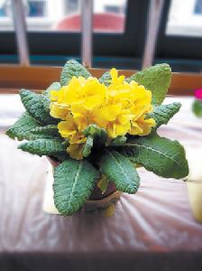 文明街歷史街區