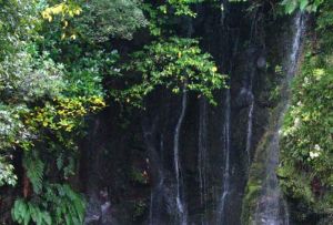 峨眉山錫杖泉 峨眉山錫杖泉