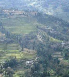 老廠自然村 老廠自然村