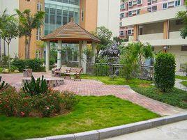 東莞市可園中學 東莞市可園中學