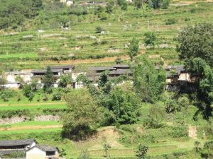 馬鹿田村 馬鹿田村