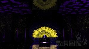 雀之戀[著名舞蹈家楊麗萍夢幻演繹的舞蹈]