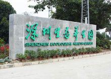 石岩[廣東深圳寶安區下轄鎮]